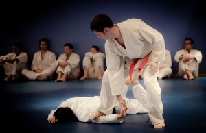 Hapkido technique